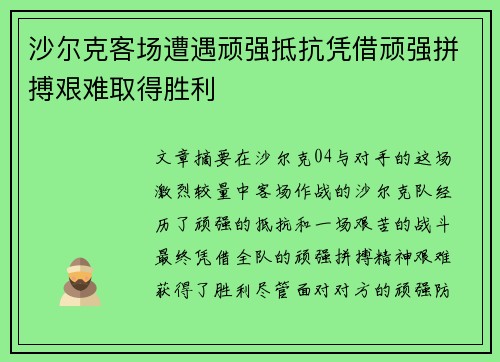 沙尔克客场遭遇顽强抵抗凭借顽强拼搏艰难取得胜利